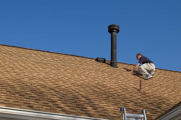 Best Roof Moss and Algae Removal  in New Brockton, AL